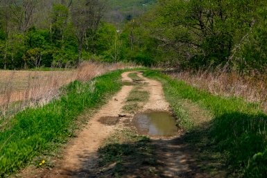 5831879.jpg?052d0362651eb34ee5c4999d46463a8e