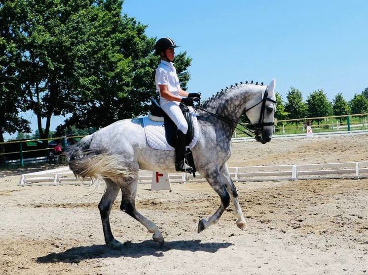 В Красноармейском районе прошли чемпионат и первенство края по конному спорту