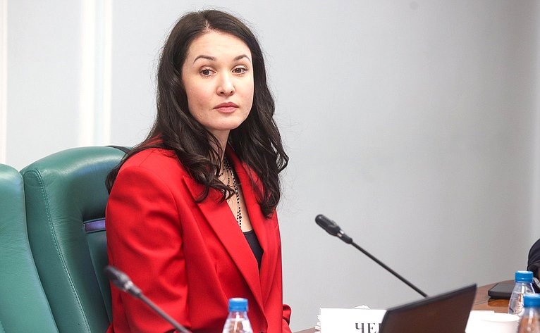 Заседание Комитета Совета Федерации по социальной политике