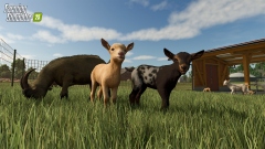 Для кооперативного симулятора Farming Simulator 25 вышло крупное обновление с новым контентом