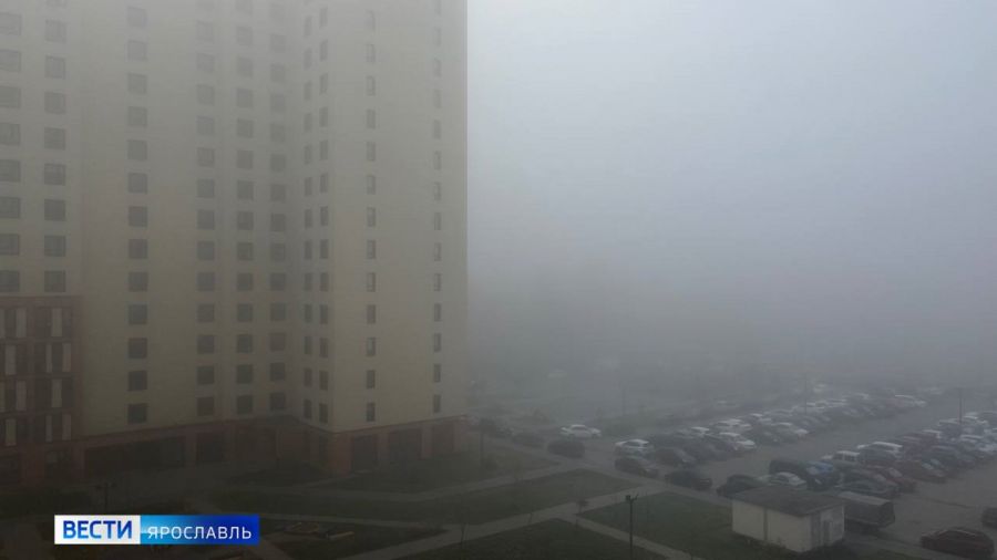 Улицы Ярославля окутал густой туман