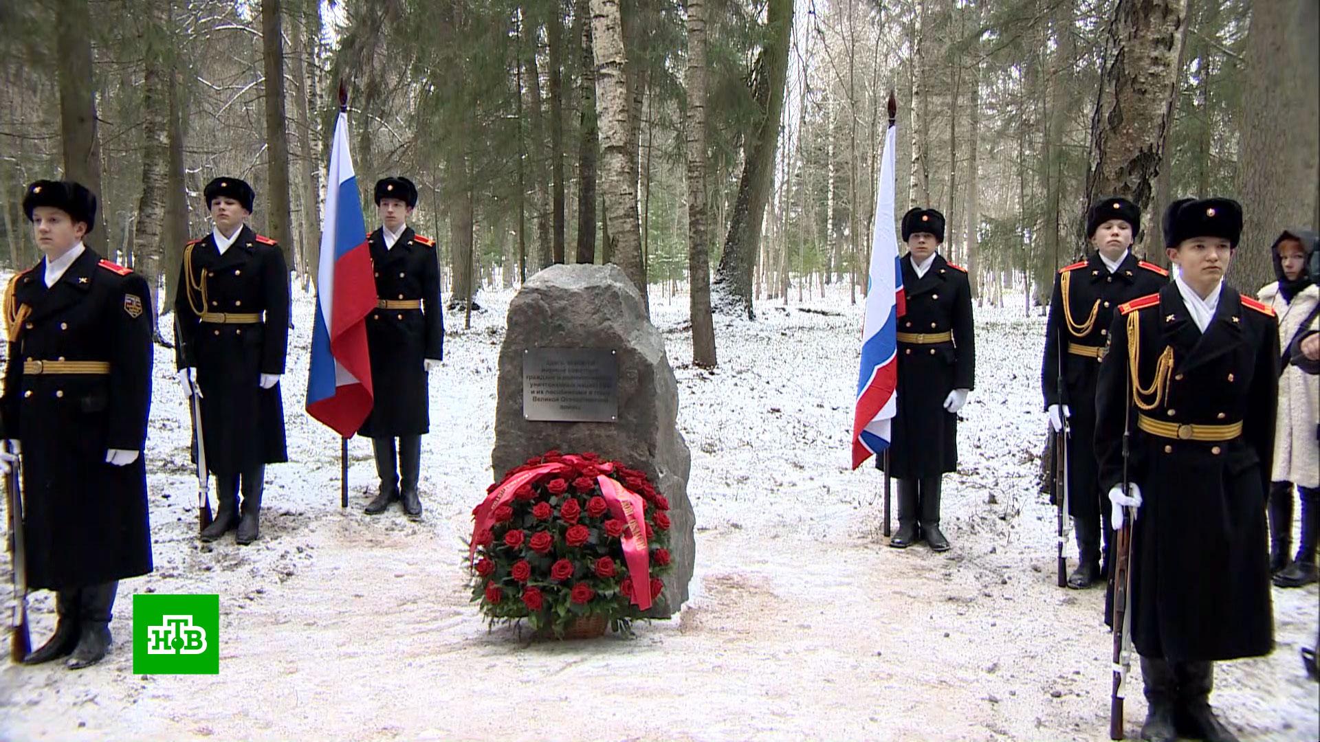 Житель гатчины. Российские войска. Мемориал мирным жителям Гатчина. Новый год в Великую отечественную войну.