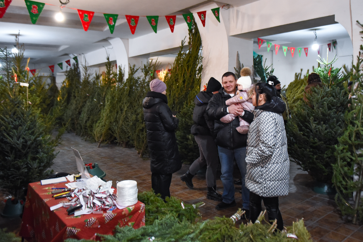 Фото: Алексей Сухушин