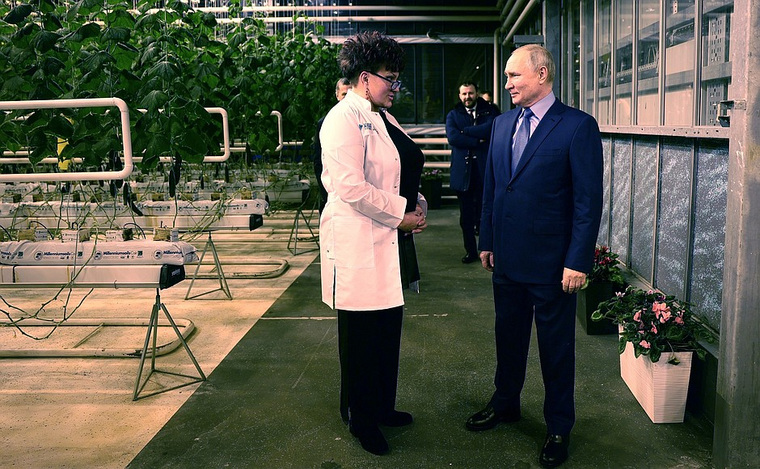 Владелице теплиц Наталье Макатровой удалось впечатлить президента: выращивать овощи в условиях вечной мерзлоты дано не каждому