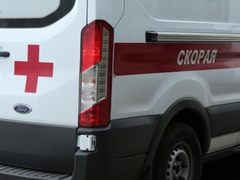 ​В Домодедово женщина лишилась пальца, пытаясь разнять дерущихся собак