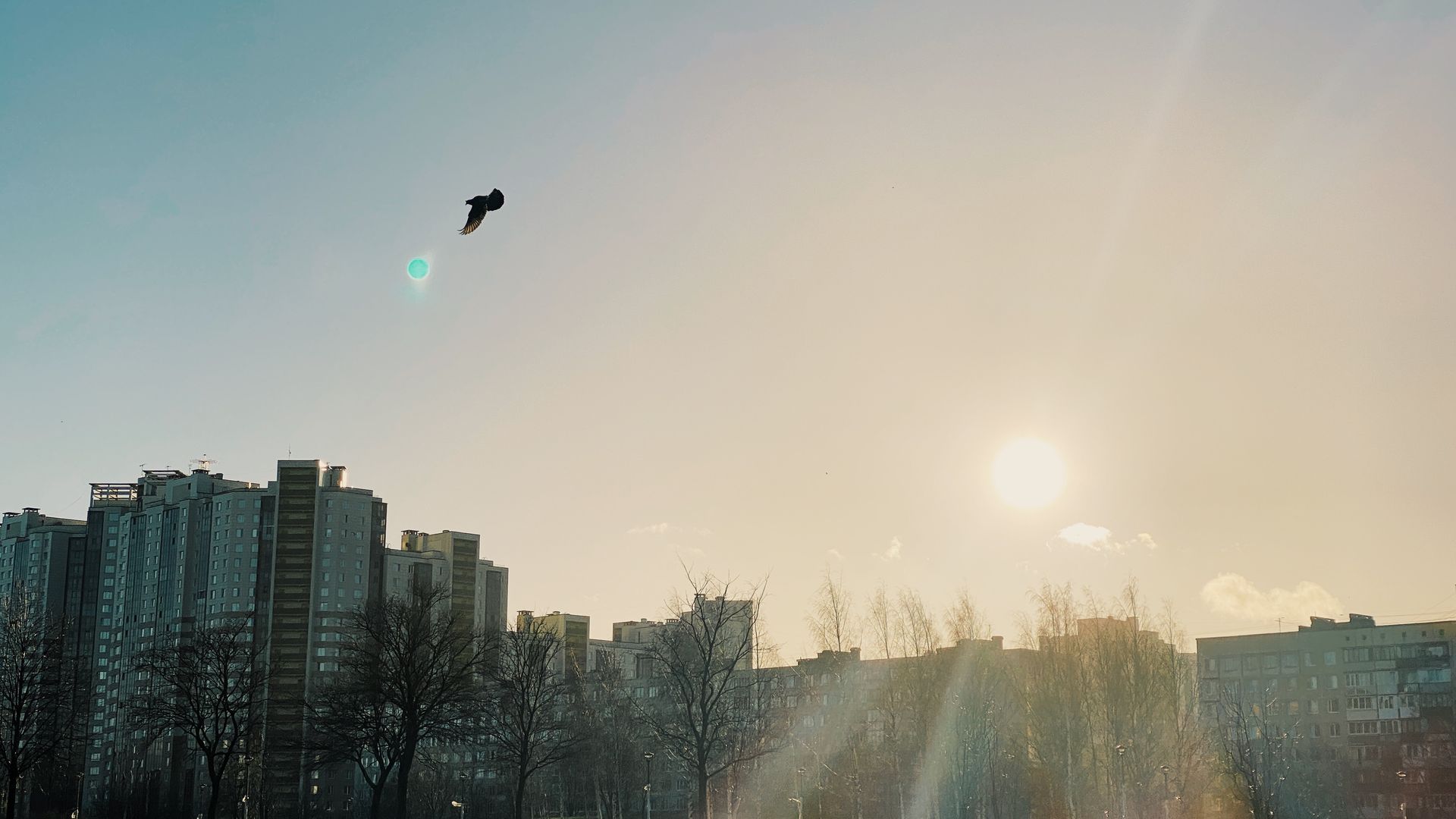 Над петербургом кружит. Небо над Санкт-Петербургом. Небо над Питером. Небо в ноябре. Солнечное затмение в Питере.