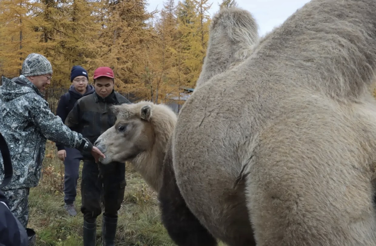 Айсен Николаев посетил уникальный Плейстоценовый парк в Нижнеколымском районе