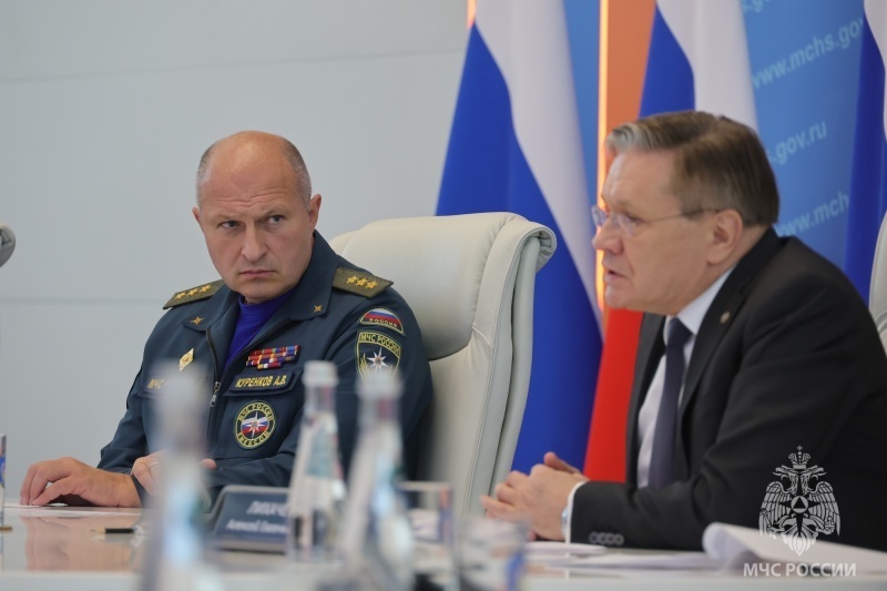 МЧС России и Минприроды поддерживают создание 100-метровых противопожарных полос между зданиями и лесными насаждениями