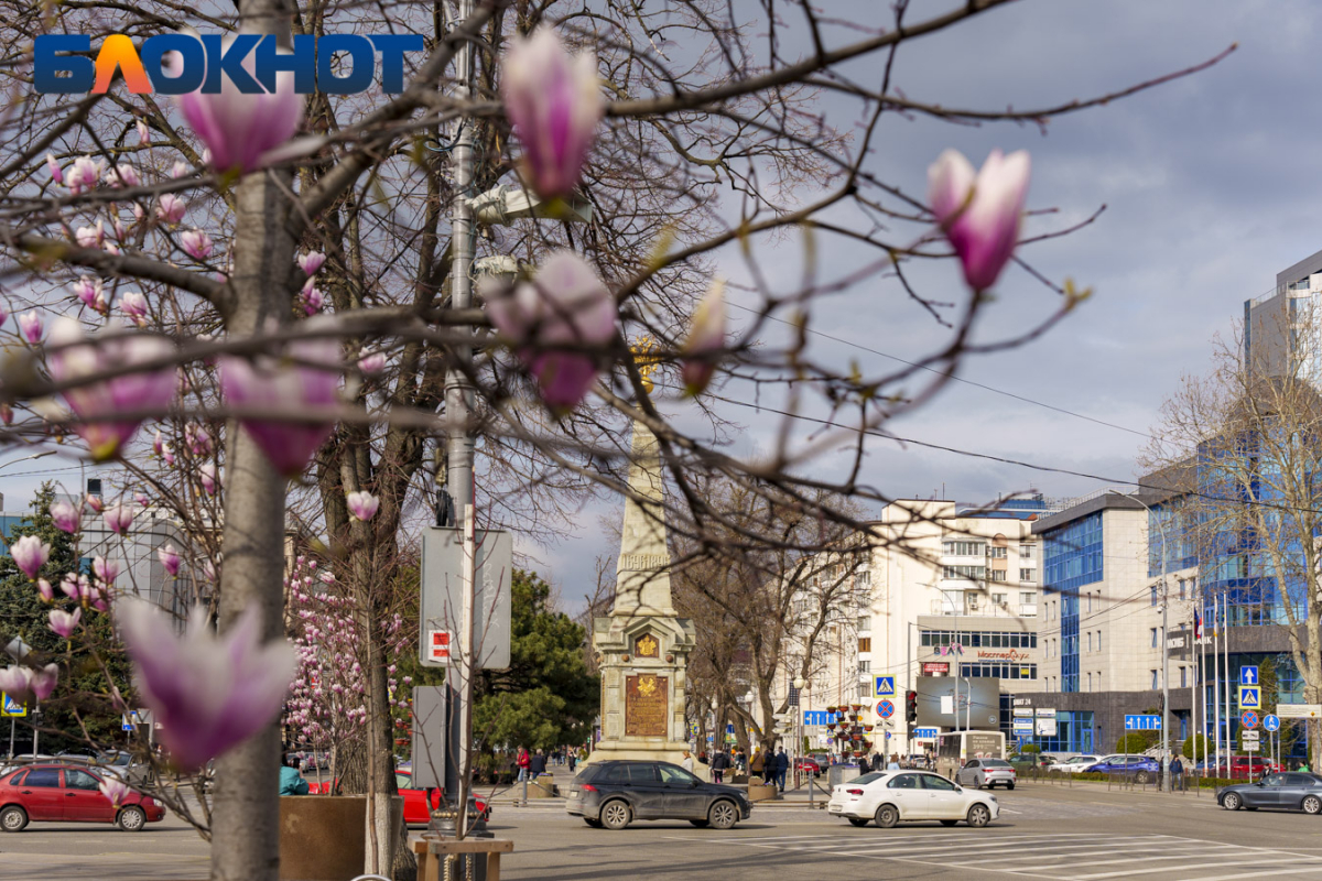 Краснодар в цвету