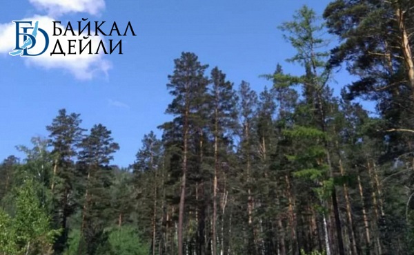В Бурятии потушили все лесные пожары
