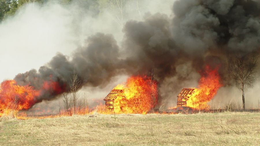 МЧС России предупреждает: в отдельных районах Ярославской области сохранится 5 класс пожароопасности