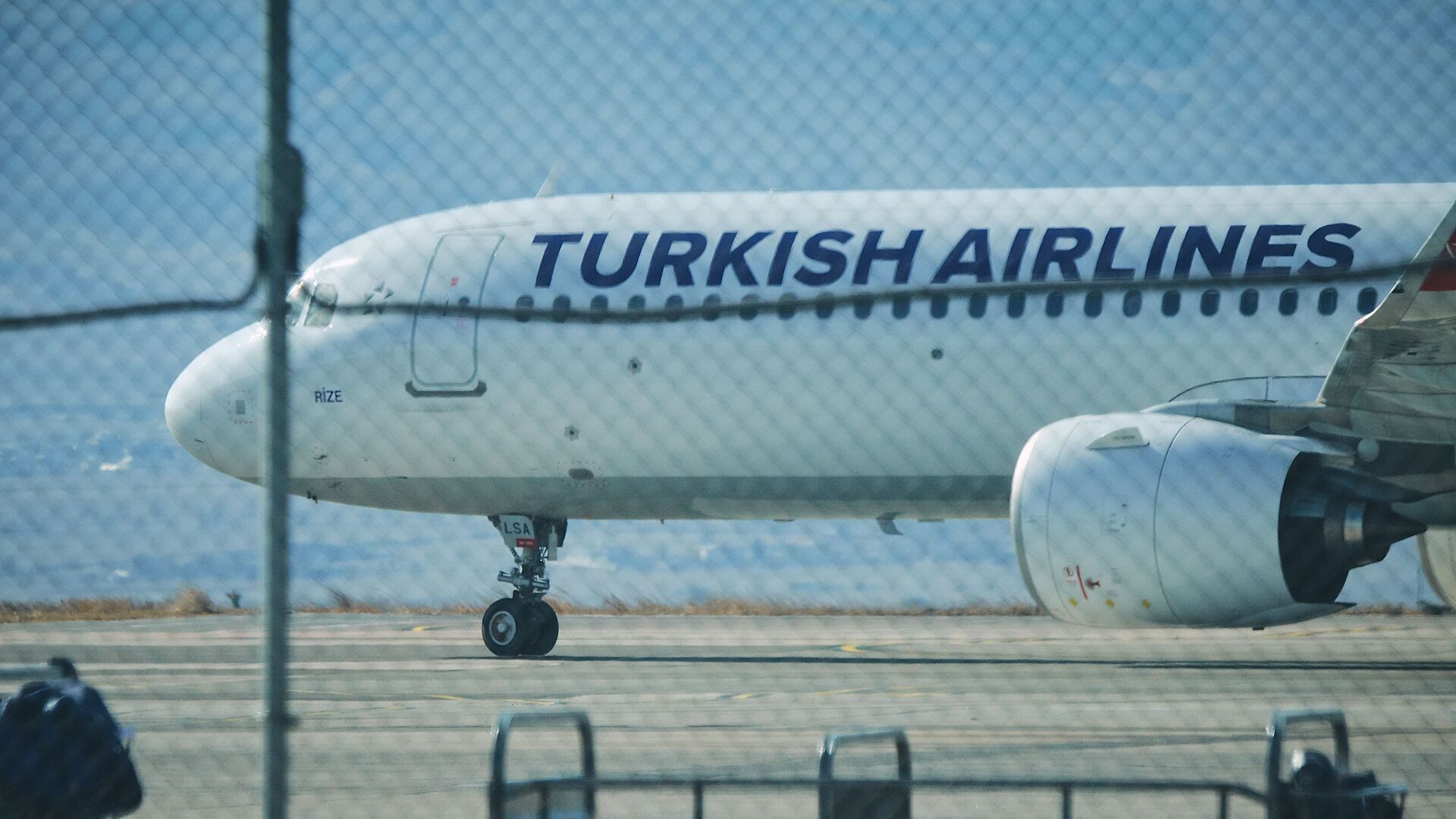 Самолет турецкой авиакомпании Turkish Airlines в тбилисском аэропорту - Sputnik Грузия, 1920, 19.07.2025