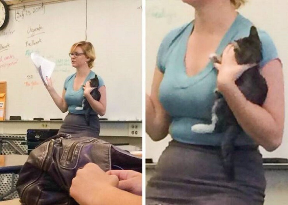 21. Эта учительница спасла котенка