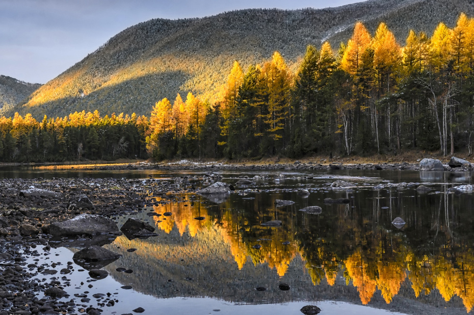 Что за день 6 ноября