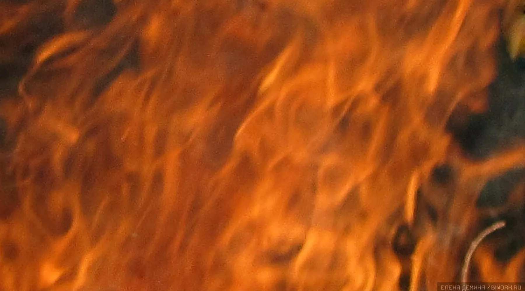 Пожар. Огонь. Пламя.