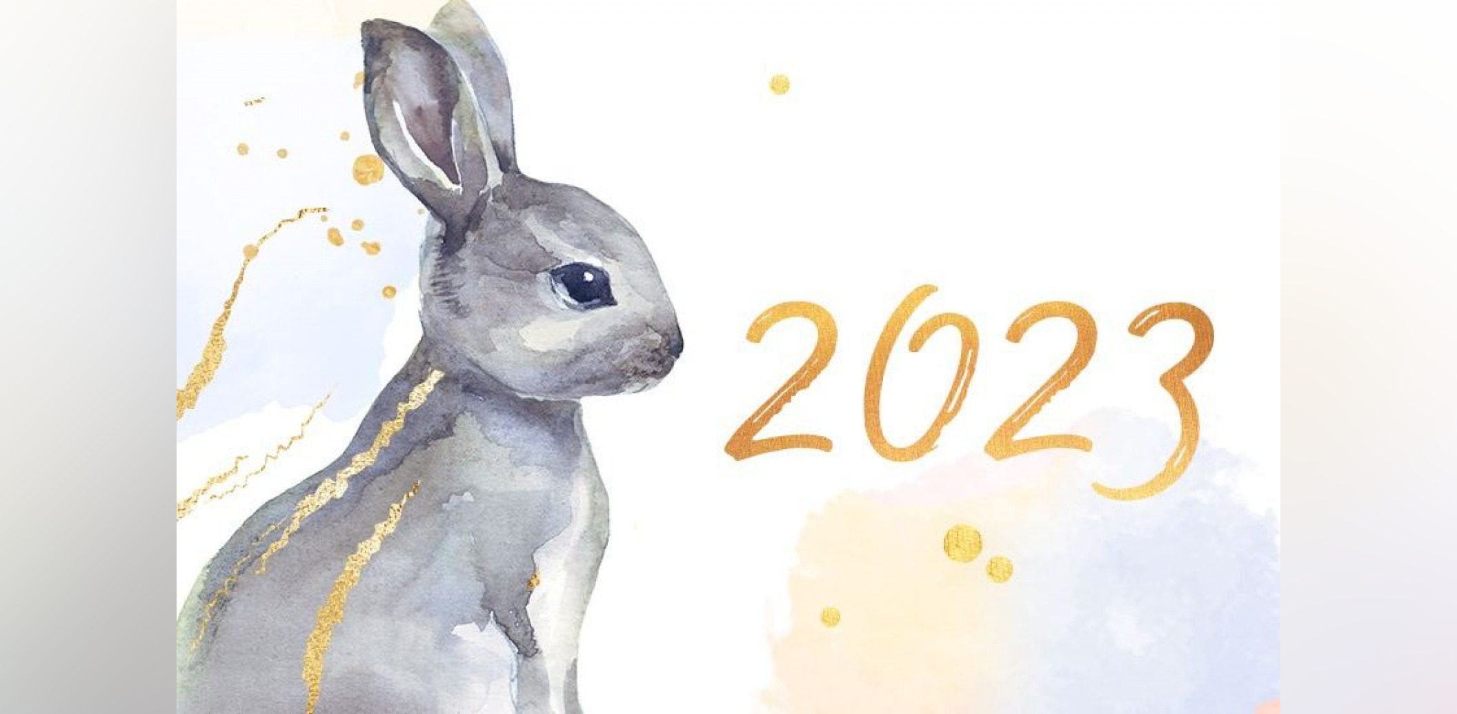 Какой год наступает 22. 2023 Год год кролика. Год кролика 2023 для кролика. Символ года 2023. Символ года 2023 картинки.