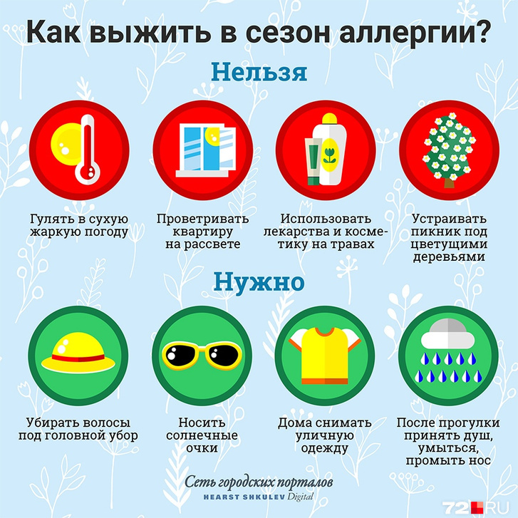 Пыльца, коты, пыль и еда, которую нельзя: врач рассказал, как ...