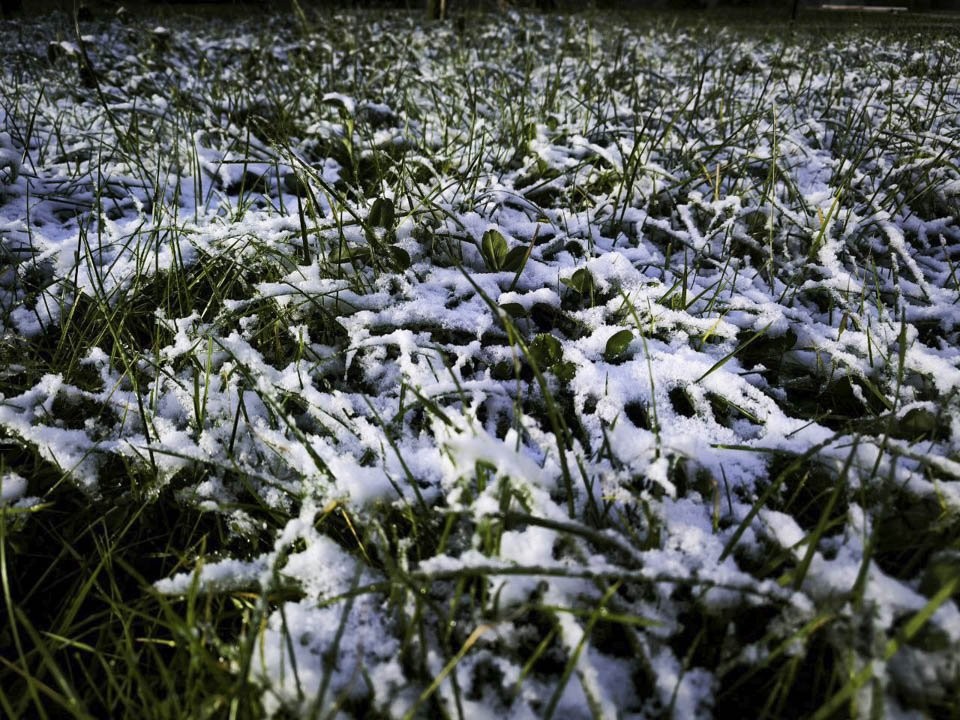 Зима покажет характер: в Подмосковье идет первая метель сезона