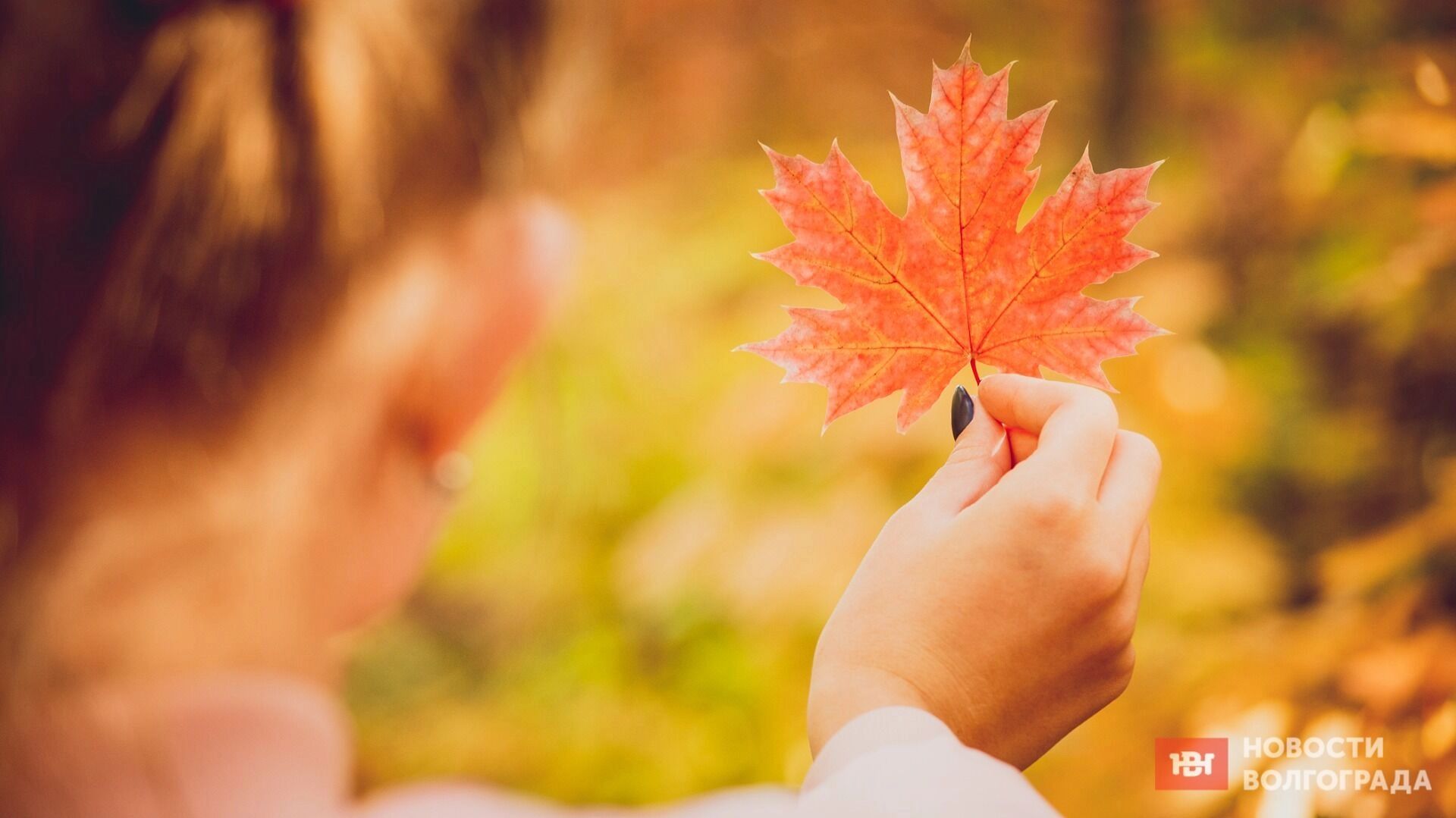 Вывернут душу, напугают, согреют: пять книг, с которым следует пережить осень
