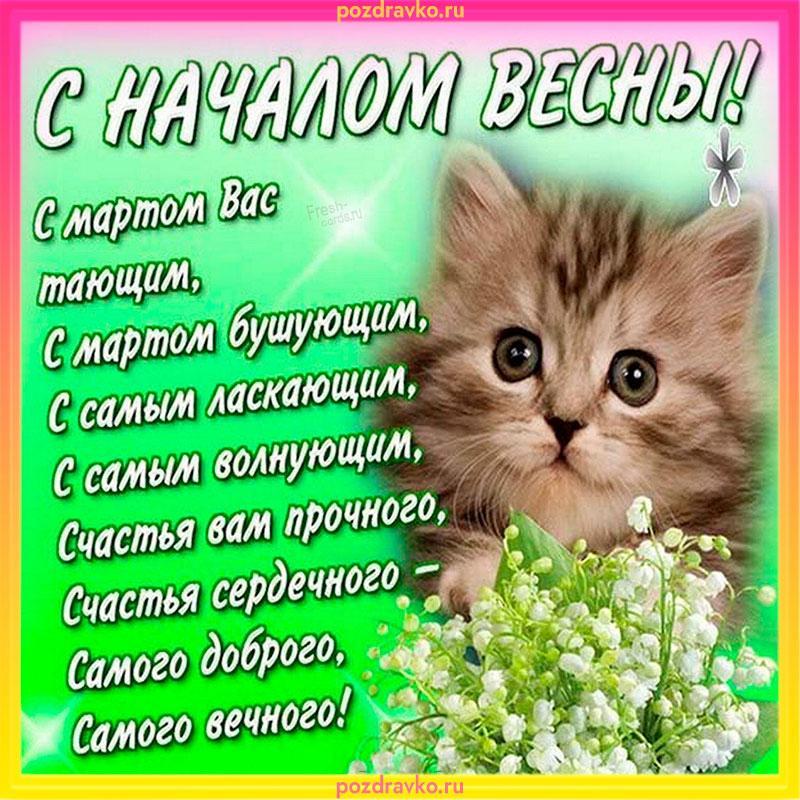 Фото С Днем кошек: открытки и картинки к 1 марта 5