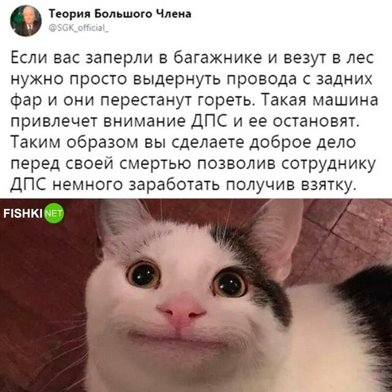 Новости по картинке