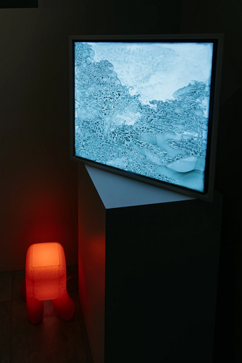 Container image