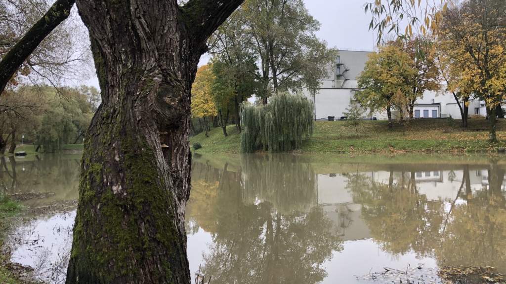 УХОДЯЩАЯ ОСЕНЬ В ПАРКЕ КРЕТИНГИ