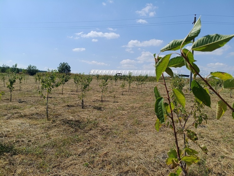На Ставрополье оштрафовали сельхозпредприятие за незаконный захват земли