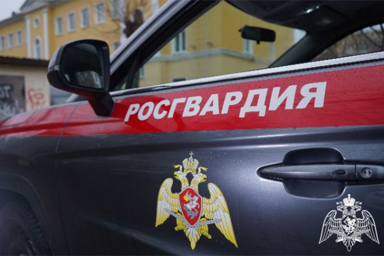 Росгвардейцы задержали подозреваемую в нанесении ножевых ранений в Подмосковье (видео)
