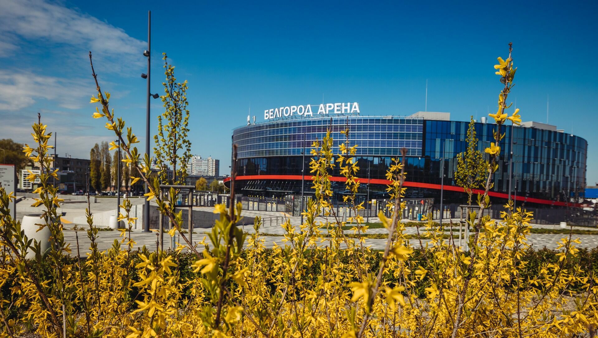 Белгород арена ул щорса 14в фото
