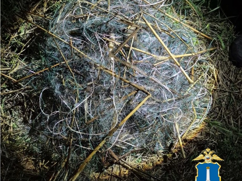 JPG Файл
