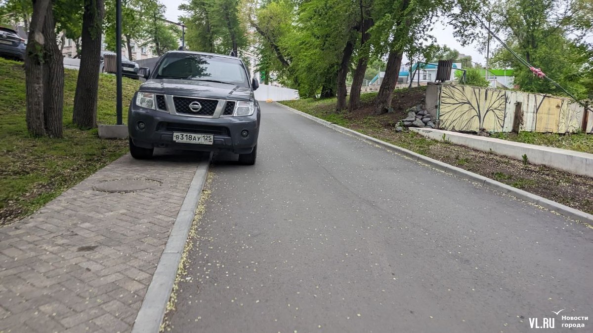 Парковка на тротуаре во дворе. Ограничитель парковки. Ограничитель парковки бетонный. Парковка на газоне. Парковка у дороги.