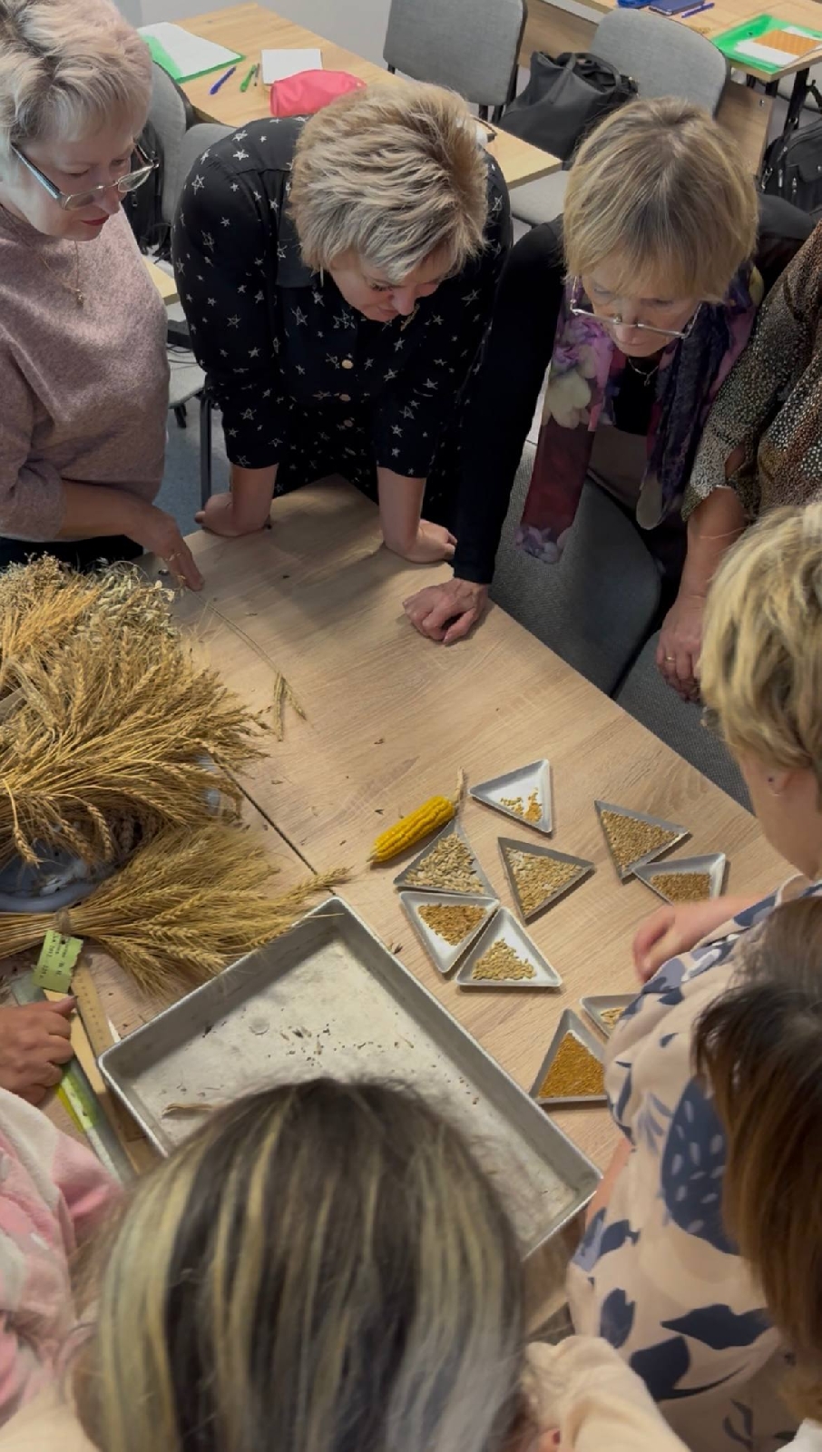 Учителя агроклассов Иркутской области повысили квалификацию фото