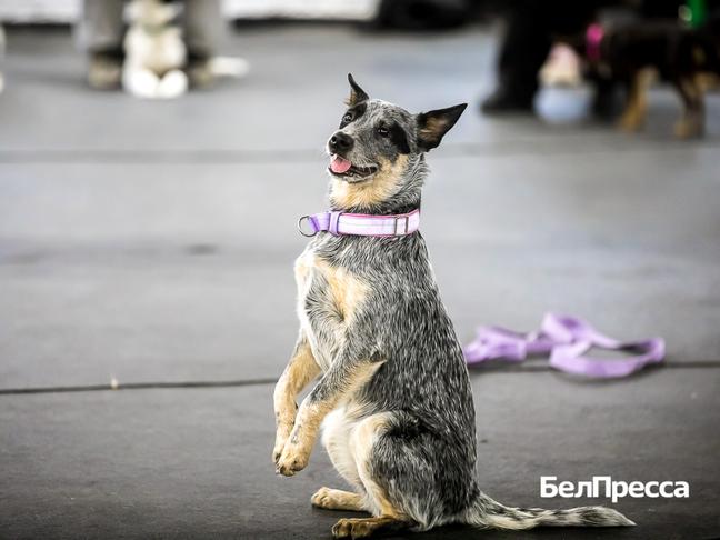 Как отдохнуть белгородцам 24–26 октября - Изображение 1