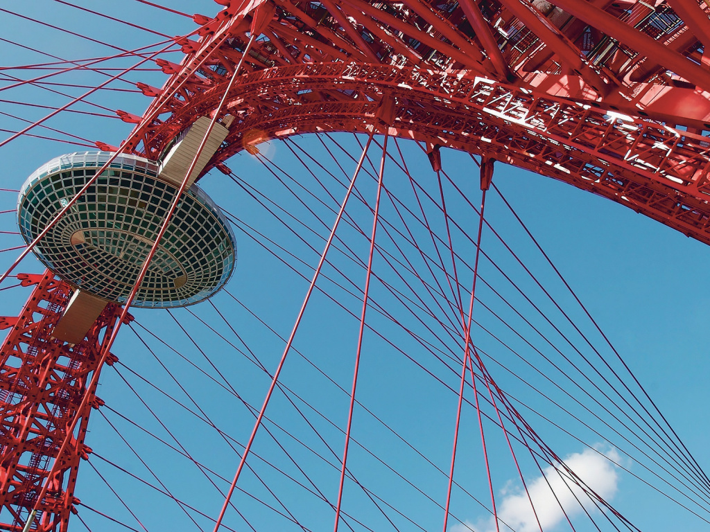 Та самая капсула на Живописном мосту