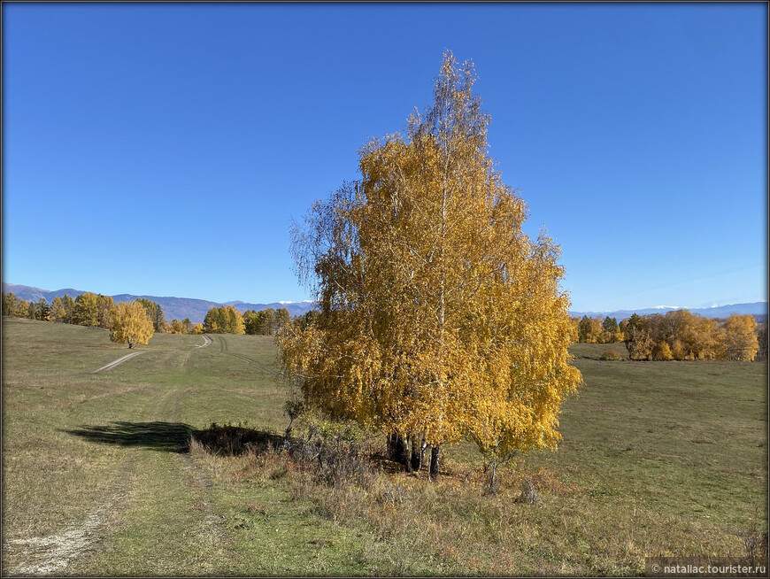 «Осенние краски Уймонской долины». Прощальный день: на гору Маяк с закрытыми глазами, посиделки на берегу Катуни и у костра в ночи 