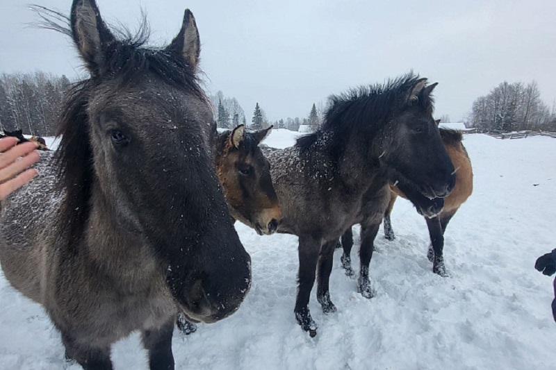 В районах Кировской области разрабатывают туристические маршруты и события
