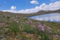 Фото: Амурский центр ГЗ и ПБ