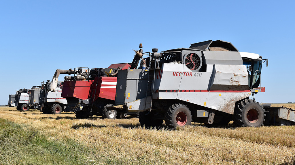Фото: Людмила Маковецкая