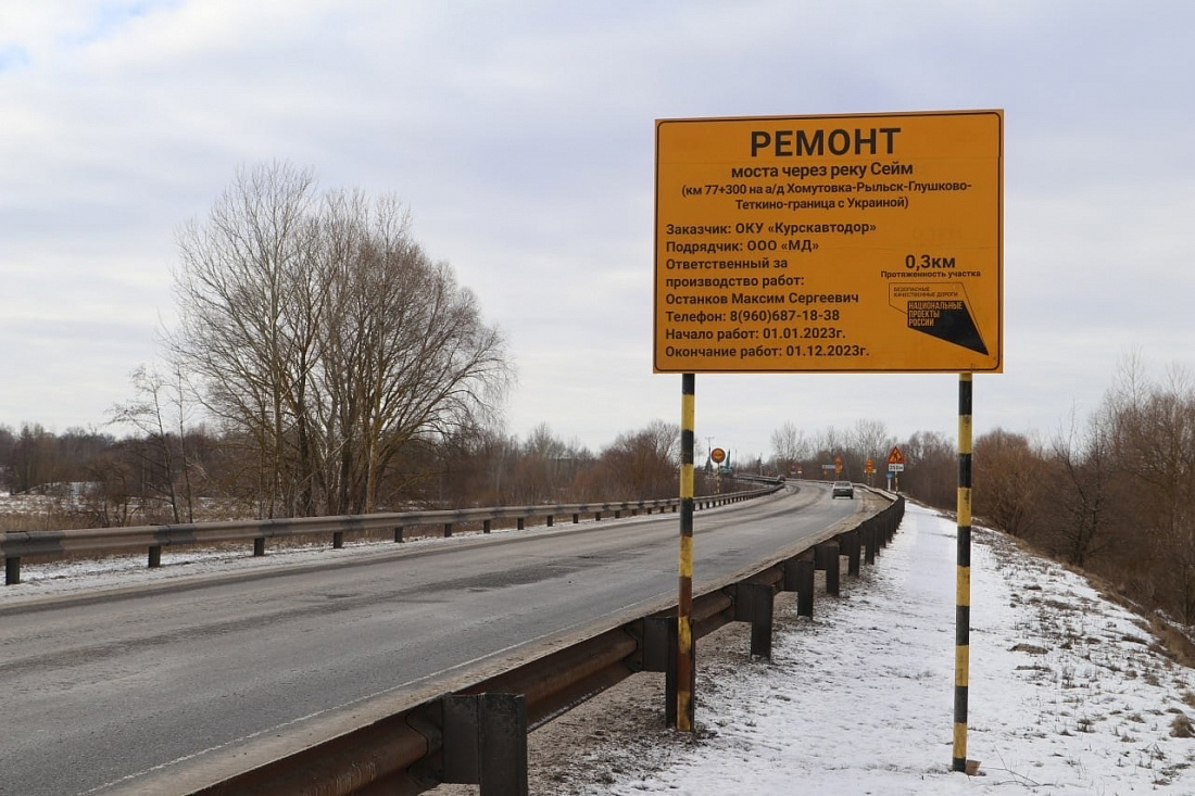 Температура реки сейм в курске. Мост через Сейм Курск. Рыльск мост через Сейм. Мост река. Мост через реку Артемовка.