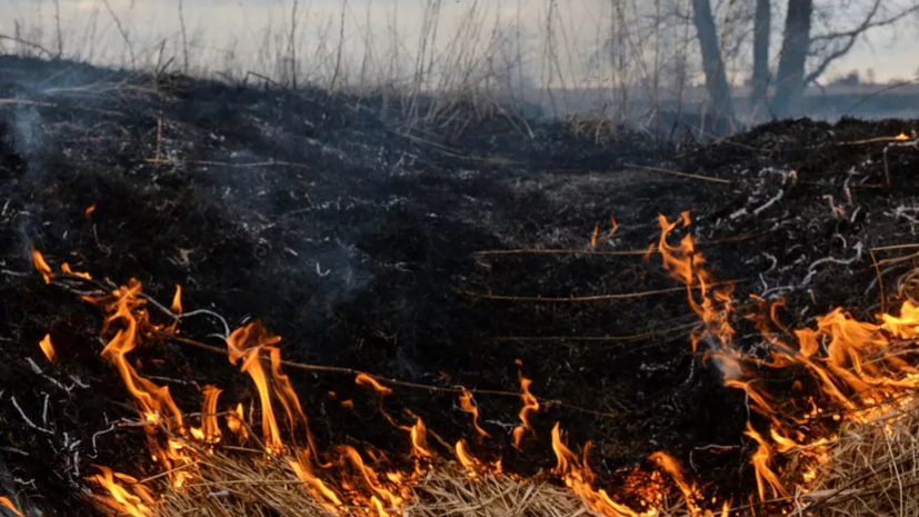 В Тюменской области загорелась сухая трава