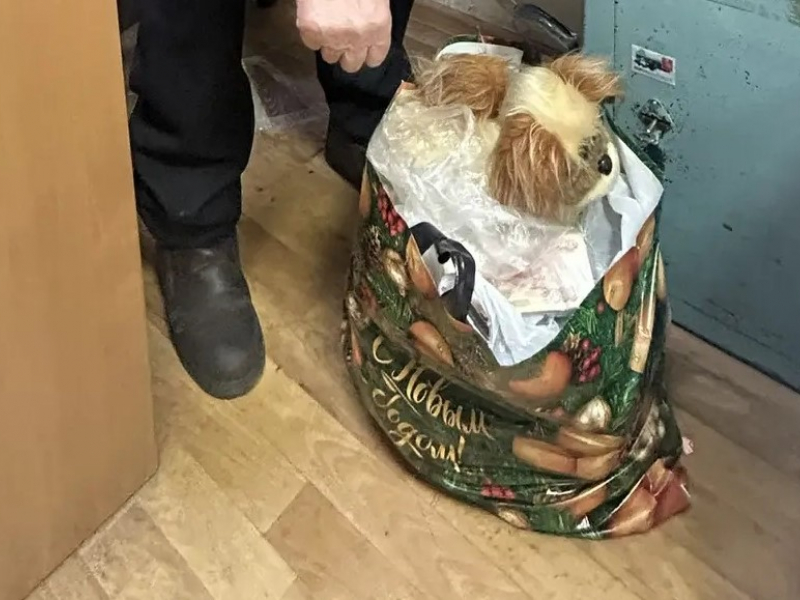 JPG Файл
