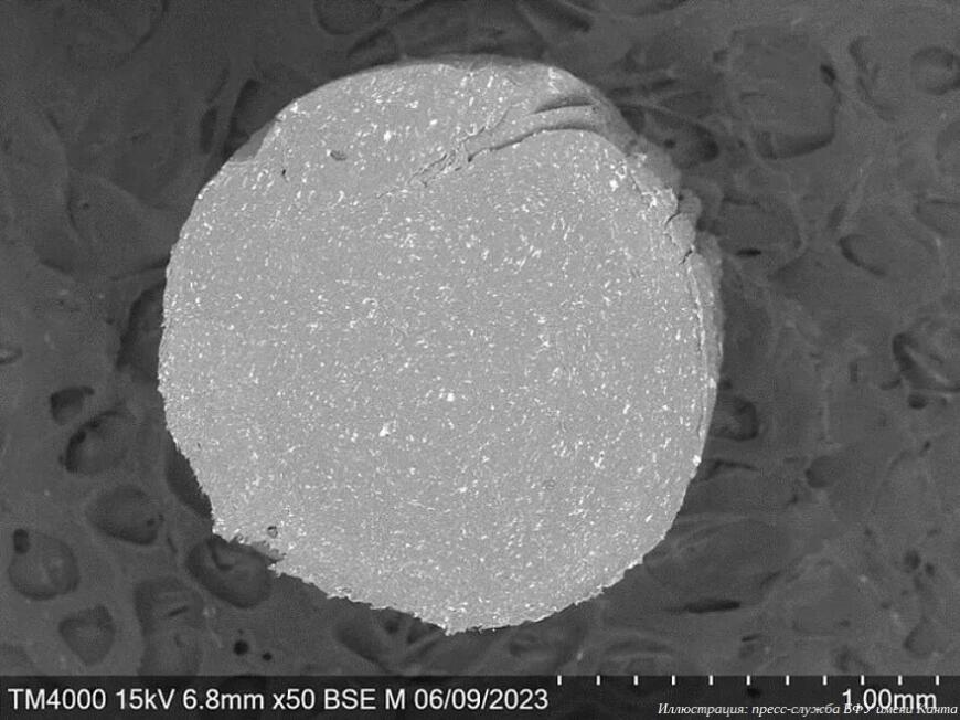 Ученые БФУ имени Канта разработали механизм создания умных материалов для медицинской 3D-печати
