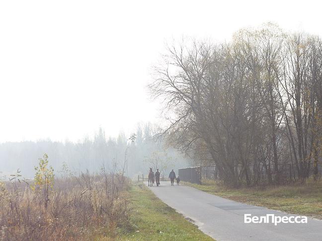 Вячеслав Гладков провёл совещание по вопросу строительства президентской школы - Изображение 3