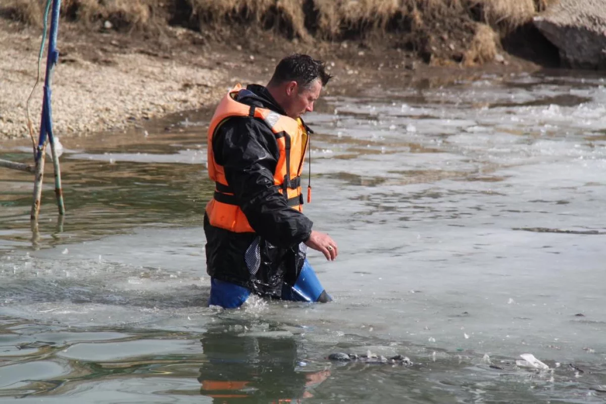 Купание часто приводит к трагедии.