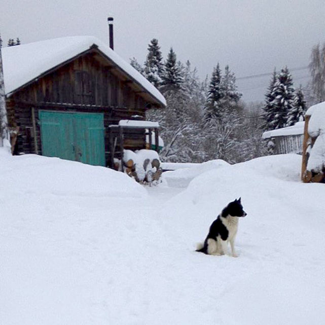 «В очередь!» В Архангельской области отказывают в помощи больным детям?