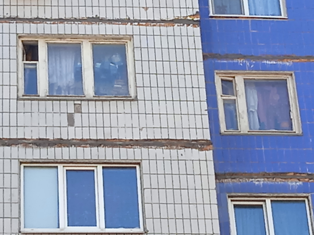 30 собак продолжают топить мочой соседей. Приставы ищут способ, как попасть в нехорошую квартиру на В. Дуброве