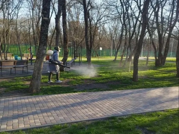 Защита от клещей в Ставрополе: почти 700 тысяч квадратных метров обработаны противоклещевыми средствами