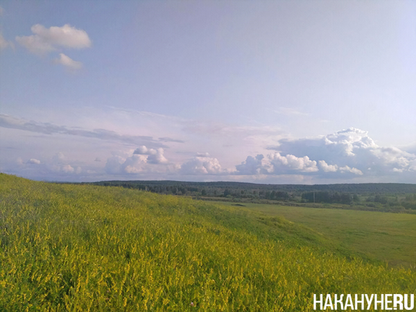 Фото: Накануне.RU