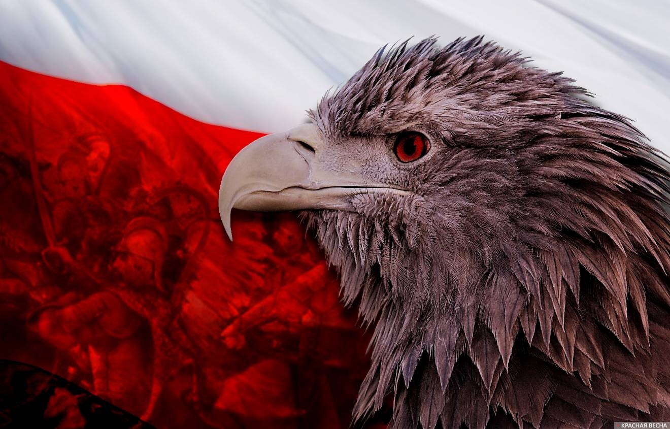 Польша следит за ситуацией